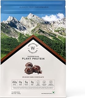Wellbeing Plant Protein 500g